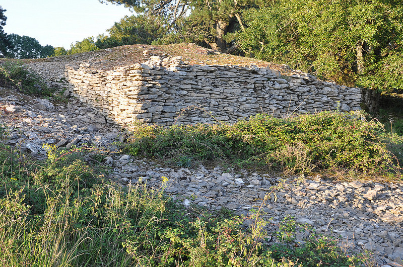 Camp de Myard (PID:148023) Camp de Myard