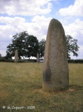 Menhirs d'Epoigny - PID:25521