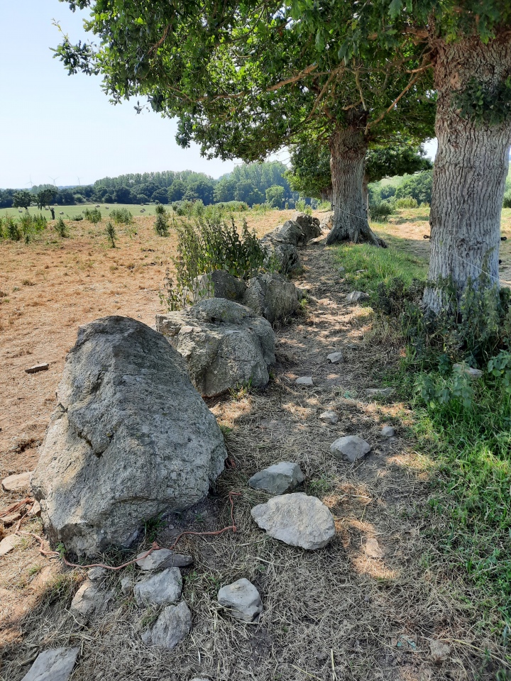 Click for full size image of Allée Couverte des Jeannetières (PID:261591) Allée Couverte des Jeannetières