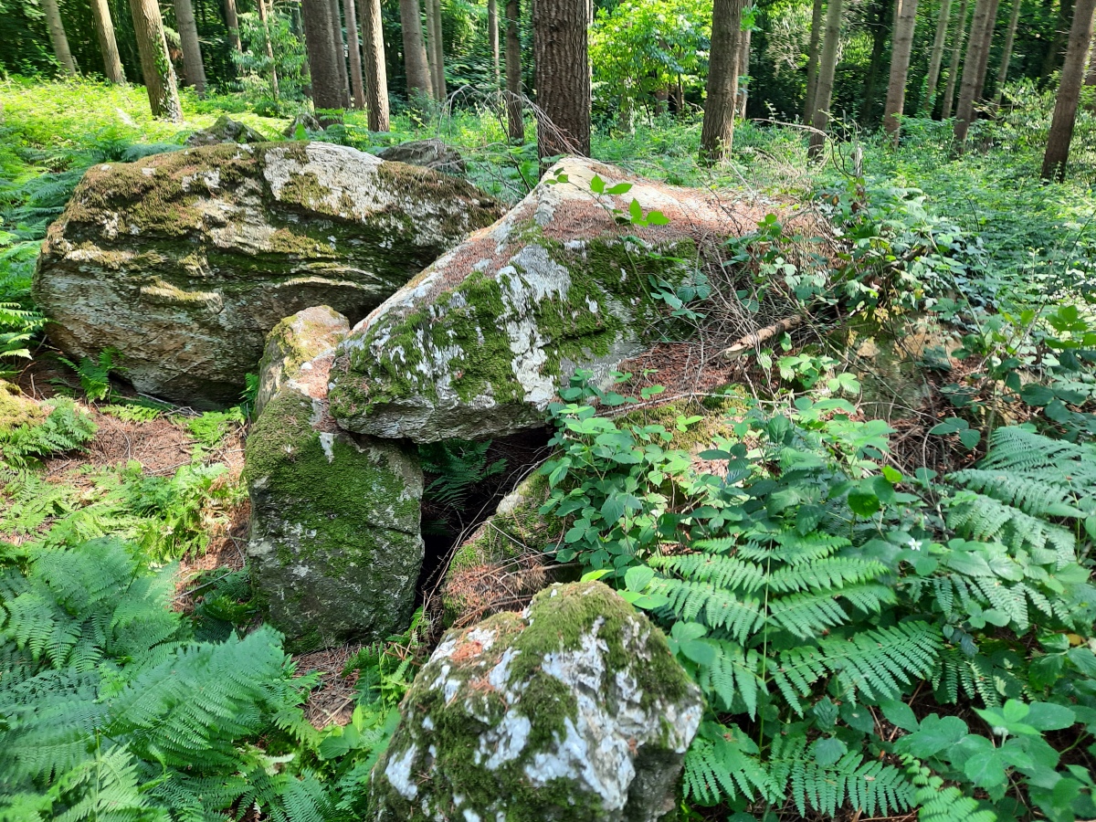 Allée Couverte du Bois de la Rabasse