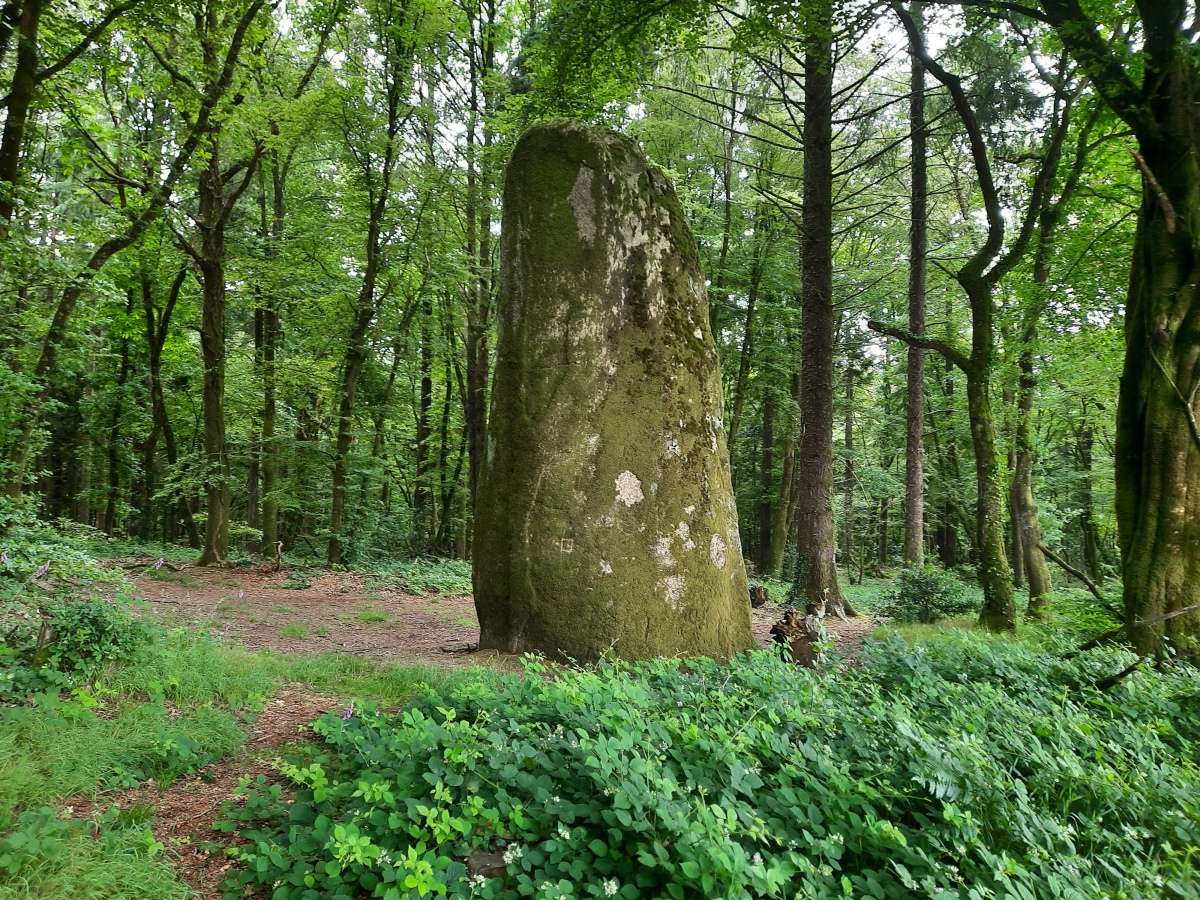 Coat Castel Menhir