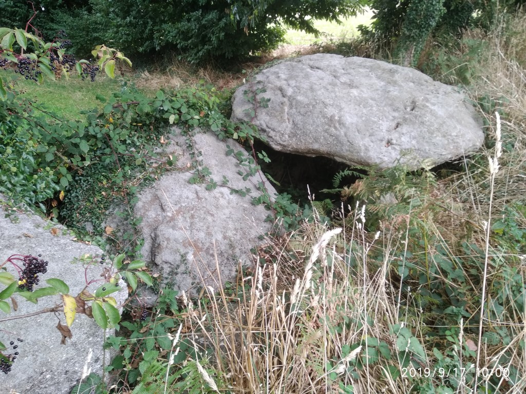 Click for full size image of Allée couverte des Meurtiaux (PID:204518) Allée couverte des Meurtiaux