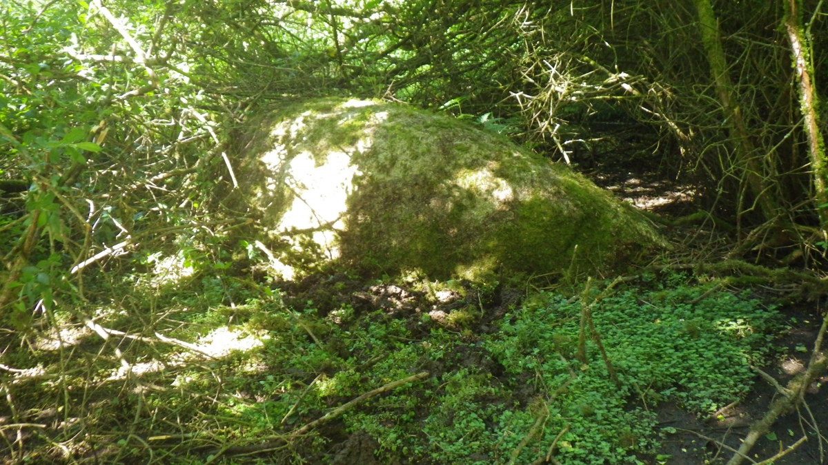 Click for full size image of Menhir de Trovran (PID:279354) Menhir de Trovran