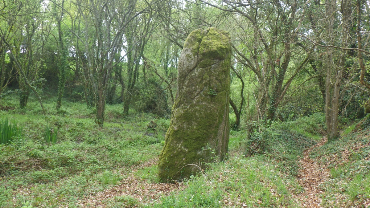 Click for full size image of Menhir Le Fuseau (Plaine-Haute) (PID:279607) Menhir Le Fuseau (Plaine-Haute)