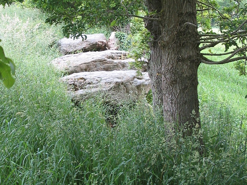 Allée couverte des Meurtiaux