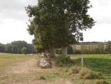 Click for full size image of Allée Couverte des Jeannetières (PID:186439) Allée Couverte des Jeannetières