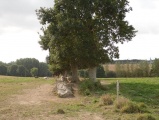 Allée Couverte des Jeannetières