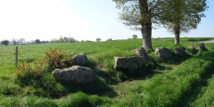 Allée Couverte des Jeannetières