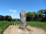 Roche Longue de Guitté