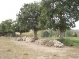 Click for full size image of Allée Couverte des Jeannetières (PID:186438) Allée Couverte des Jeannetières