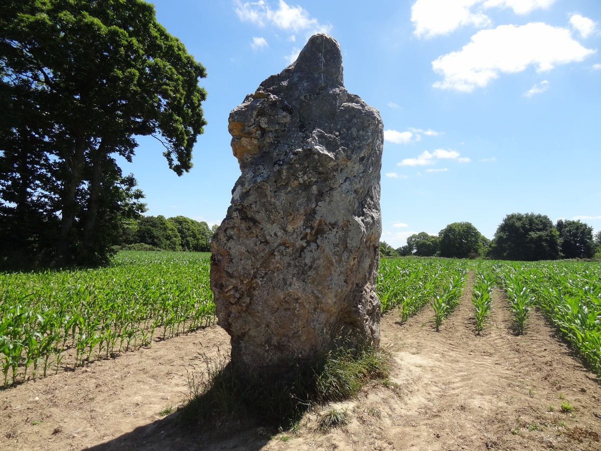 Roche Longue de Guitté