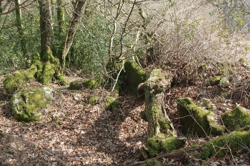 Click for full size image of Allée Couverte du Lannic (PID:146254) Allée Couverte du Lannic