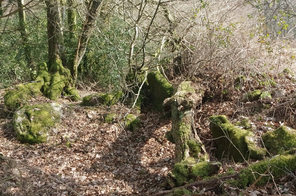 Allée Couverte du Lannic