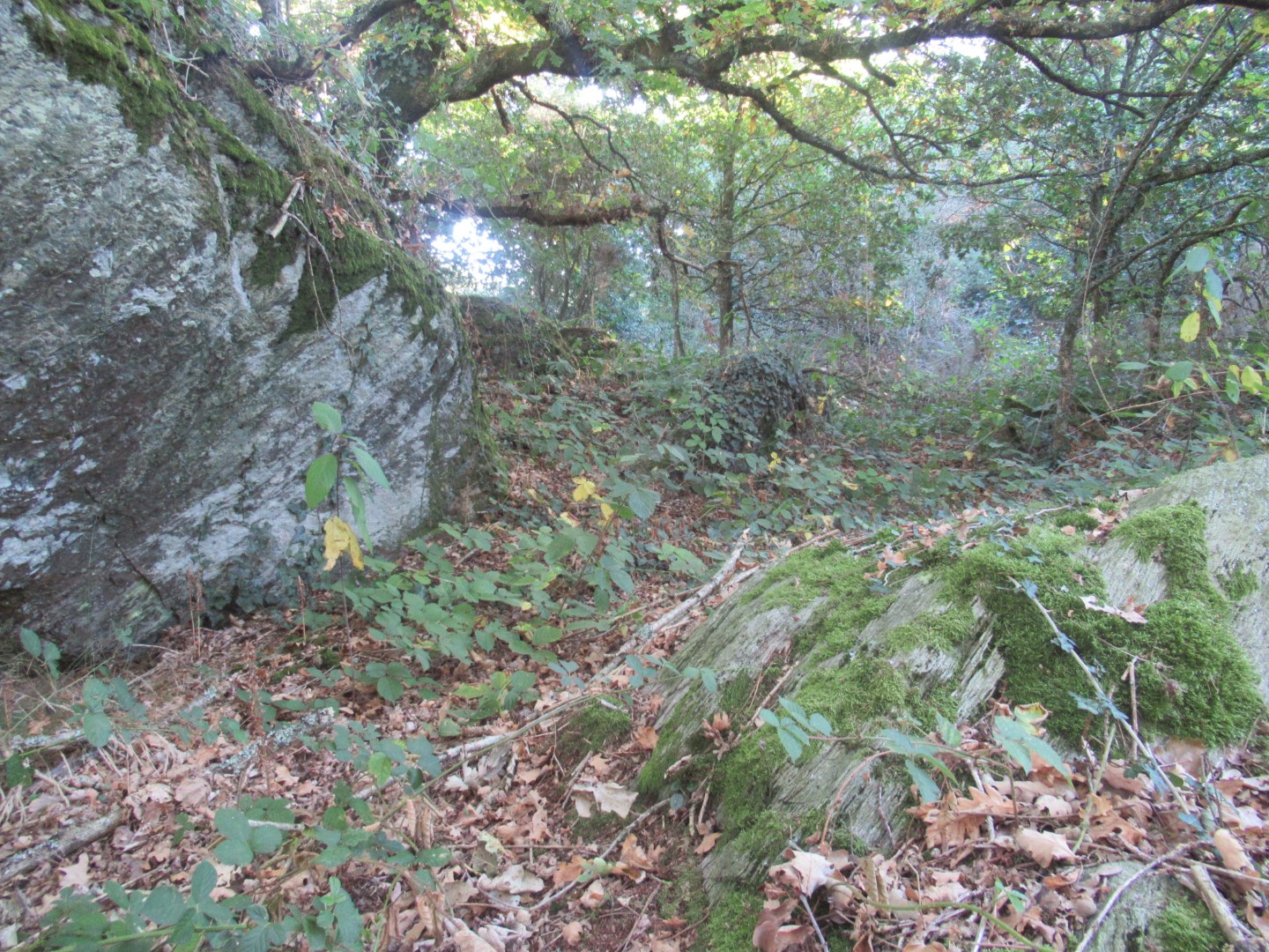 Allée Couverte de Saint-Méen 2