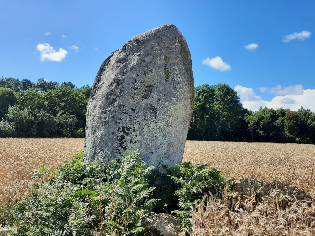 Menhir de Kerlagad (Carnac)