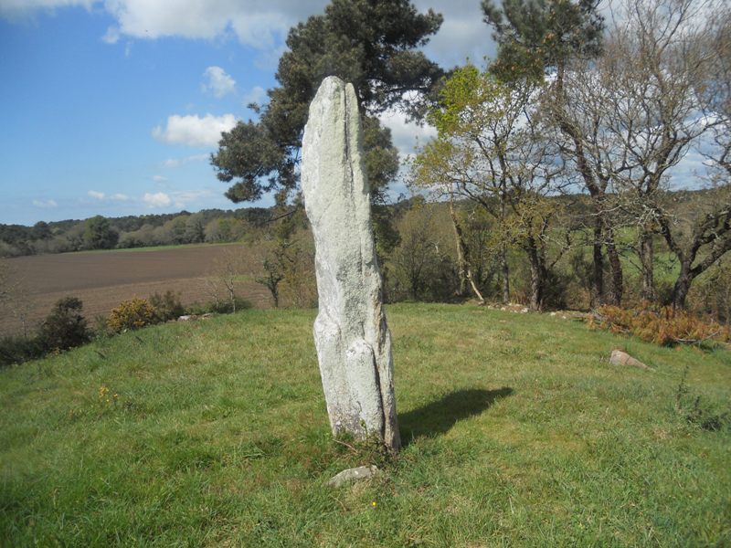 Menhir de Crucuny 1