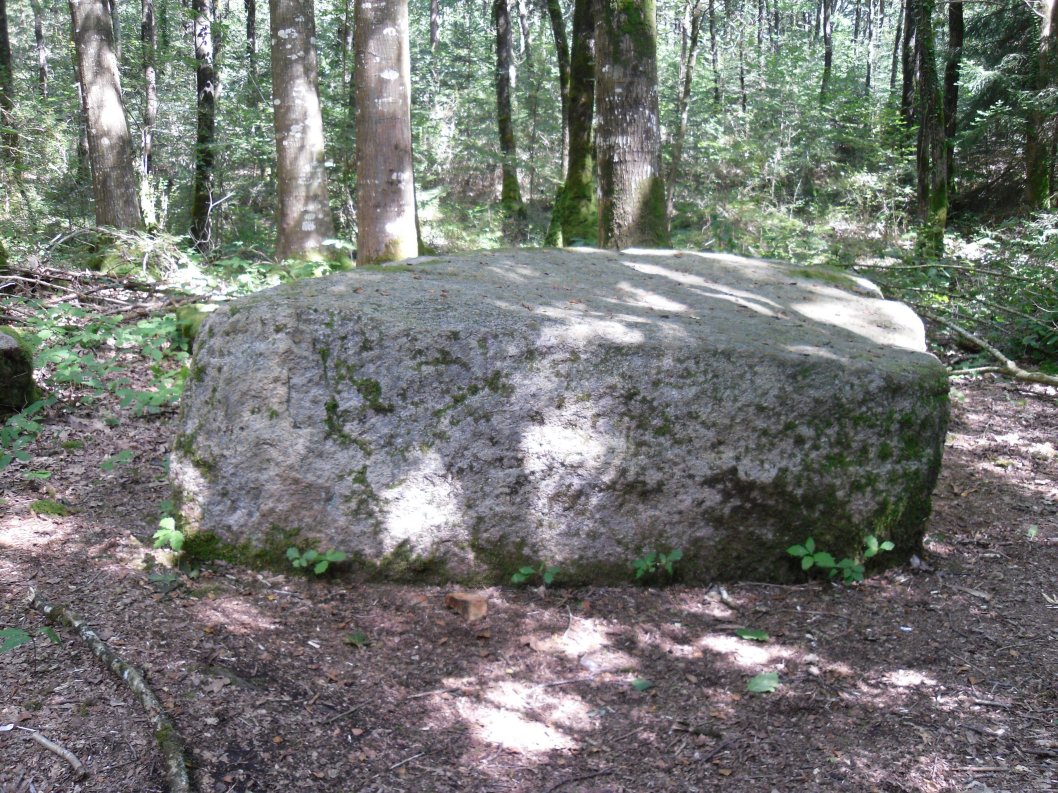 Menhir dit la Pierre Droite (Saint-Guyomard)