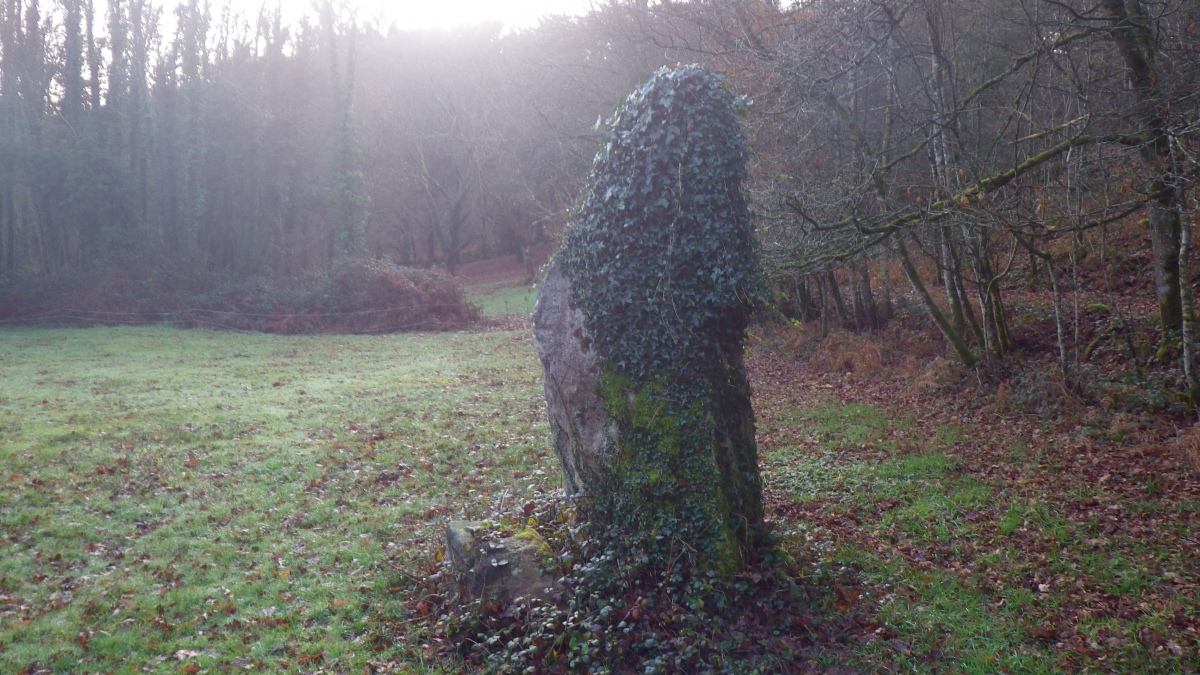 Click for full size image of Menhirs de la Vallée de la Sarre (PID:290853) Menhirs de la Vallée de la Sarre