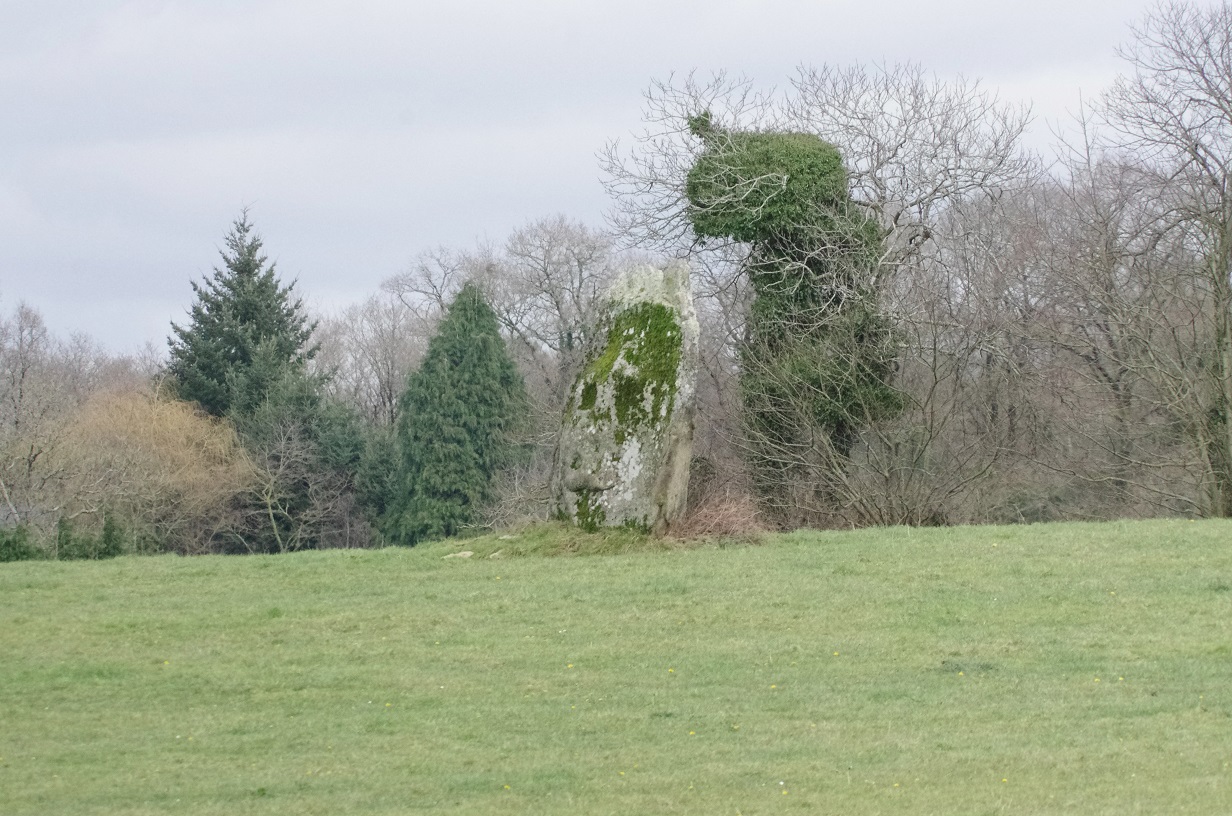 Click for full size image of Menhir de Plomedec (PID:145505) Menhir de Plomedec