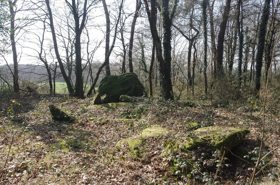 Click for full size image of Allée couverte dite la Roche des Fées (PID:146087) Allée couverte dite la Roche des Fées