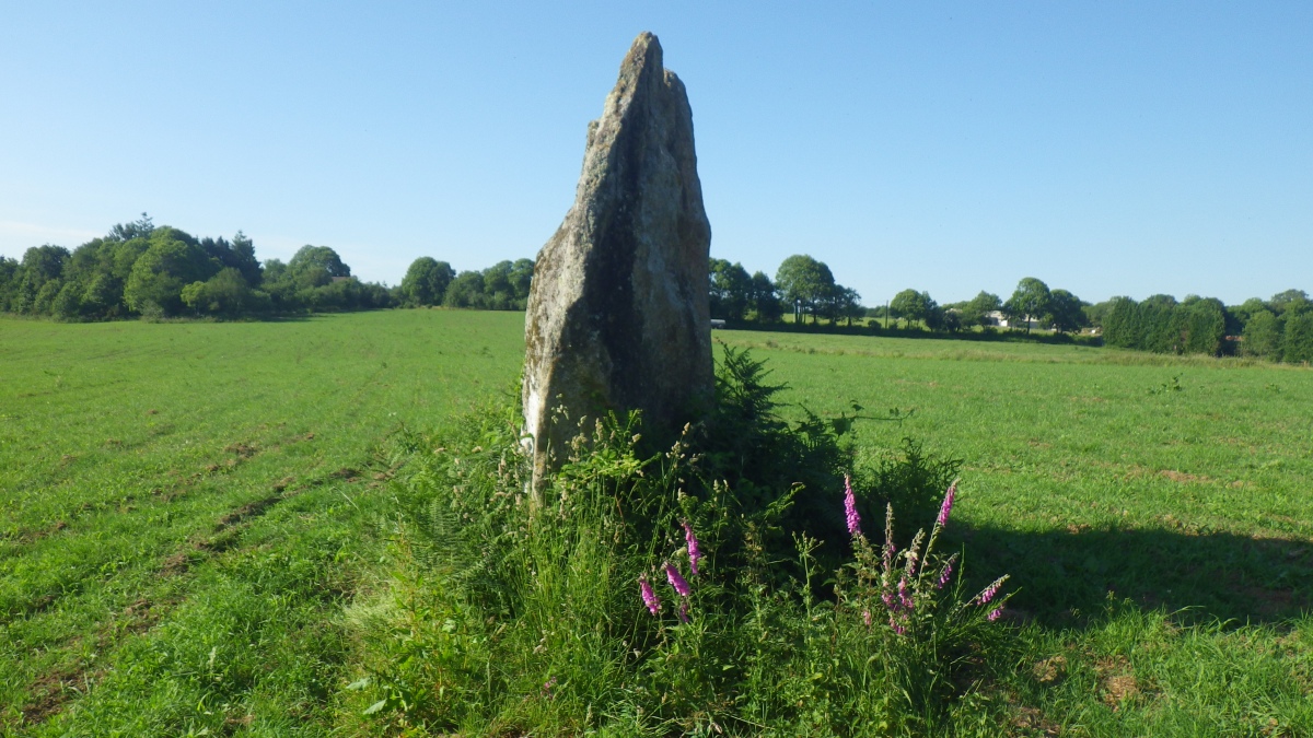 Menhir de Plomedec (PID:279582) Menhir de Plomedec