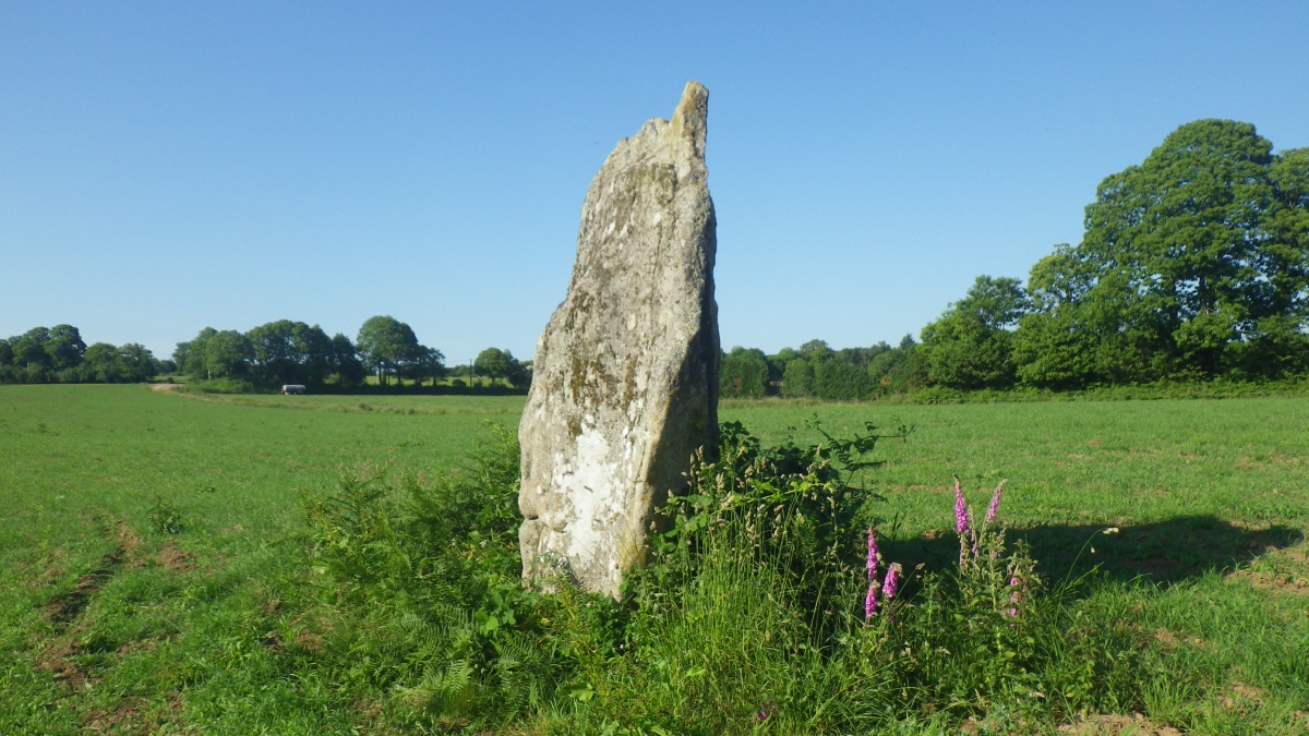 Click for full size image of Menhir de Plomedec (PID:279584) Menhir de Plomedec