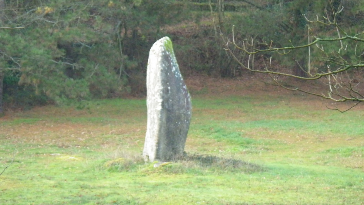 Click for full size image of Menhirs de la Vallée de la Sarre (PID:290850) Menhirs de la Vallée de la Sarre