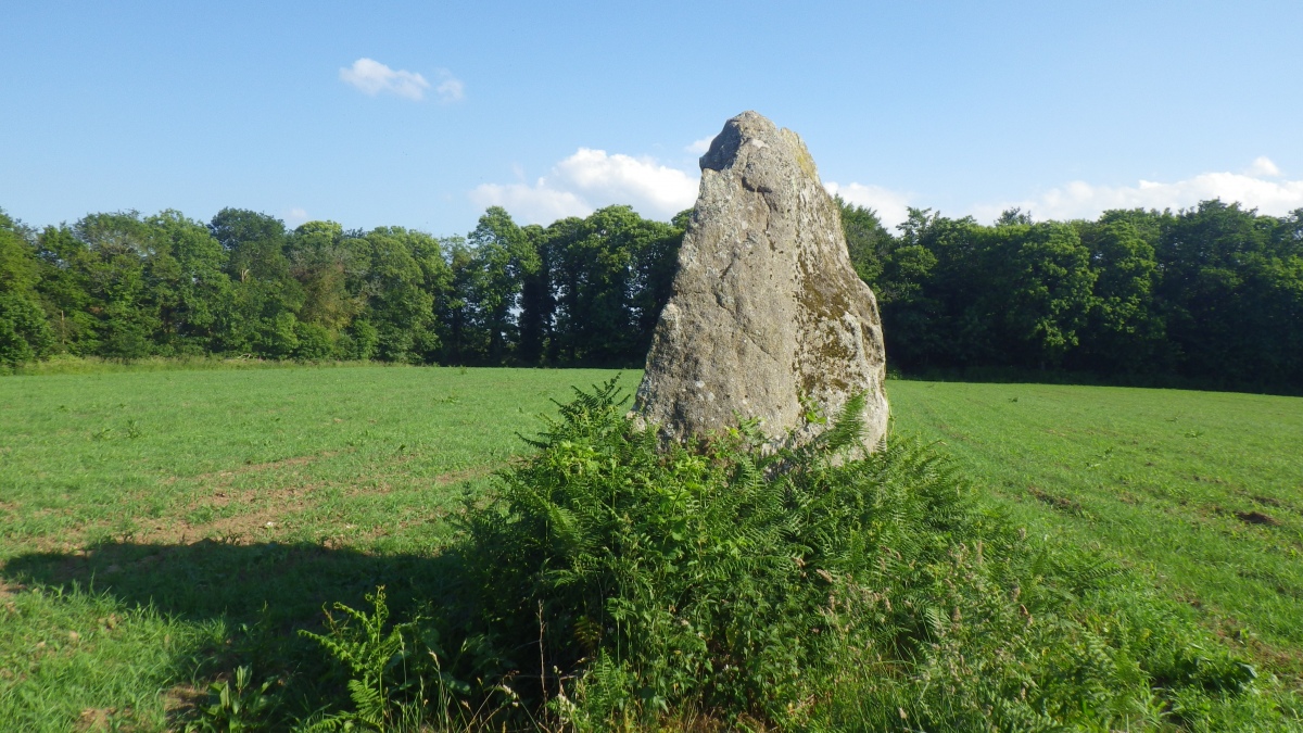 Click for full size image of Menhir de Plomedec (PID:279583) Menhir de Plomedec