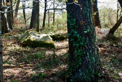Kerjean menhirs - PID:103409