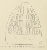 La Table des Marchands - PID:99180