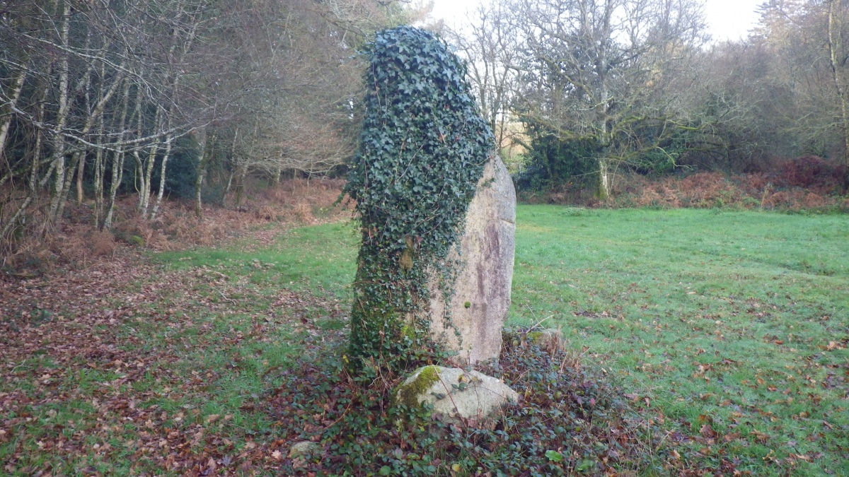 Click for full size image of Menhirs de la Vallée de la Sarre (PID:290854) Menhirs de la Vallée de la Sarre