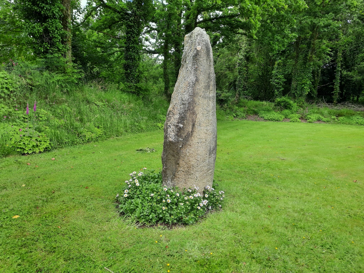 Click for full size image of Brennilis Menhirs (PID:275404) Brennilis Menhirs