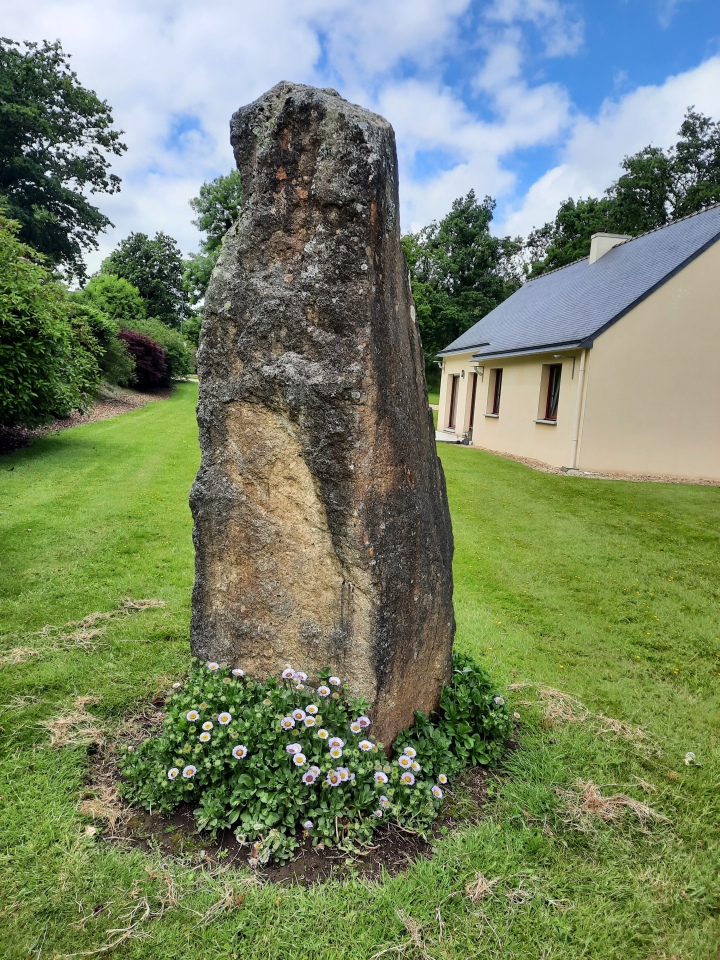Click for full size image of Brennilis Menhirs (PID:275405) Brennilis Menhirs