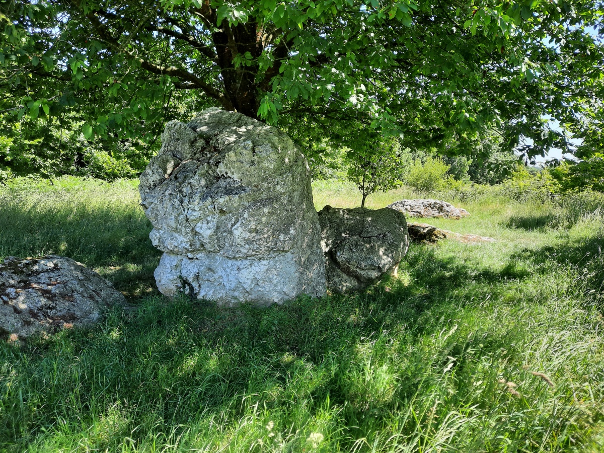 Click for full size image of Alignement dit les Rochers (Lampouy) (PID:245978) Alignement dit les Rochers (Lampouy)