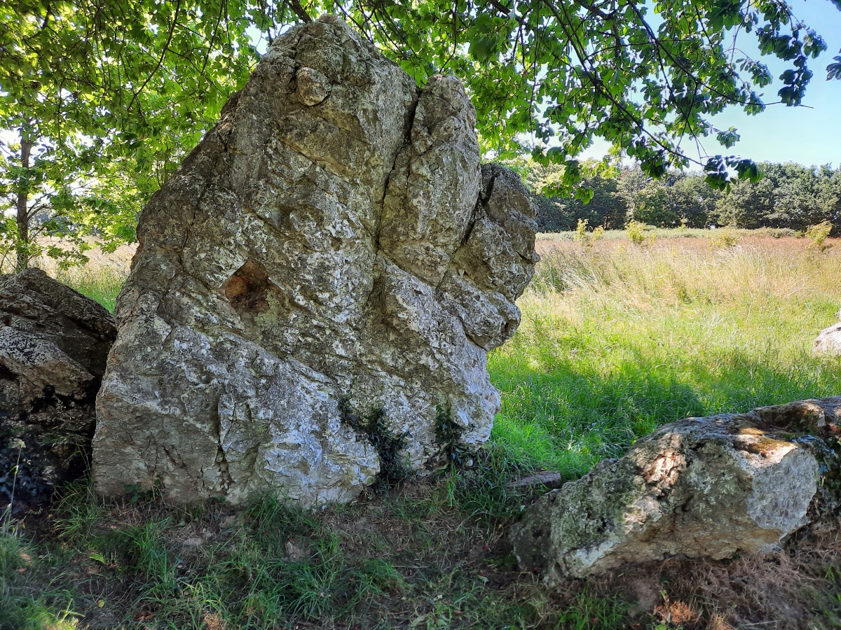 Click for full size image of Alignement dit les Rochers (Lampouy) (PID:245977) Alignement dit les Rochers (Lampouy)