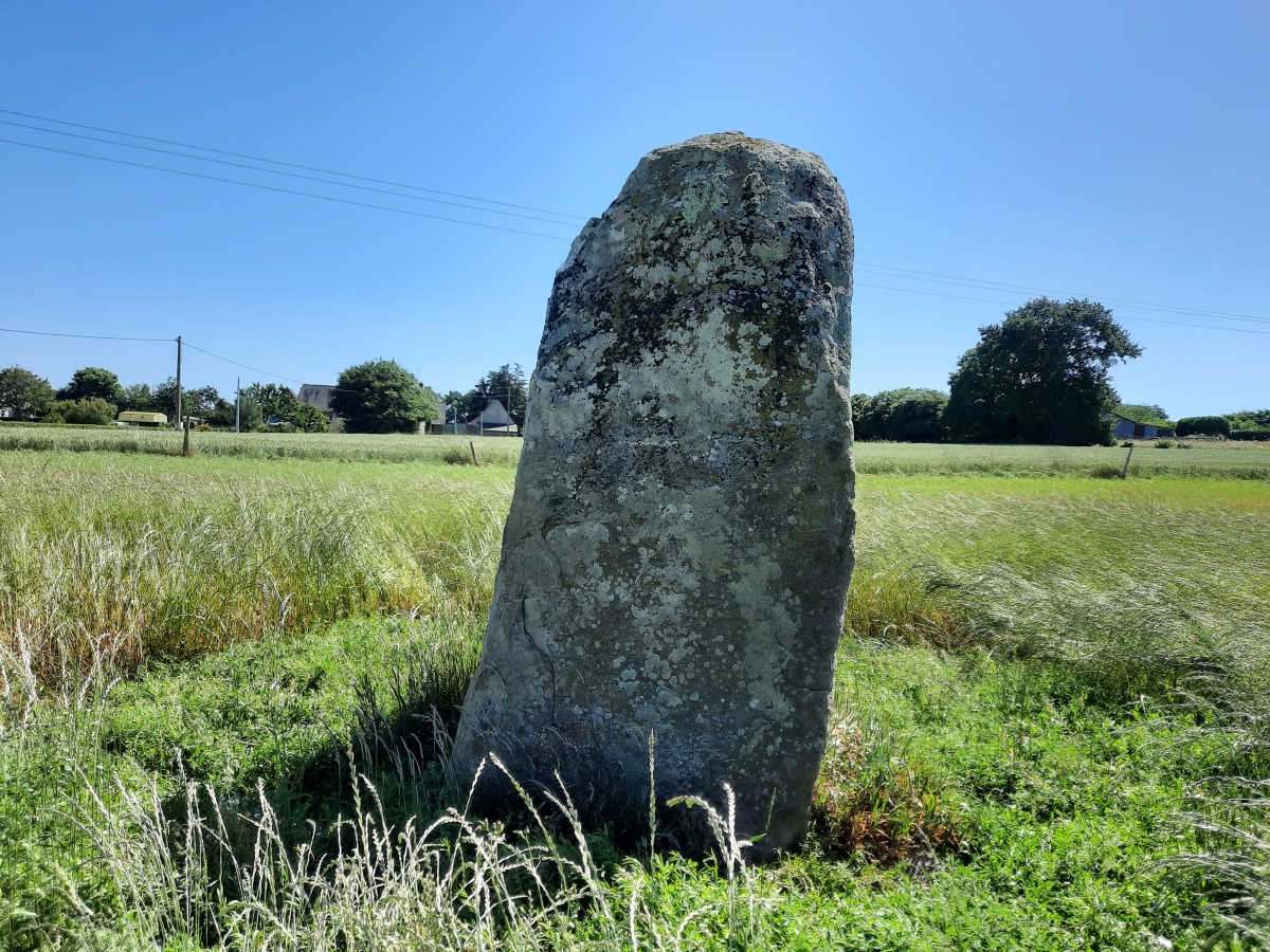 Menhir La Roche du Diable (Sougéal)