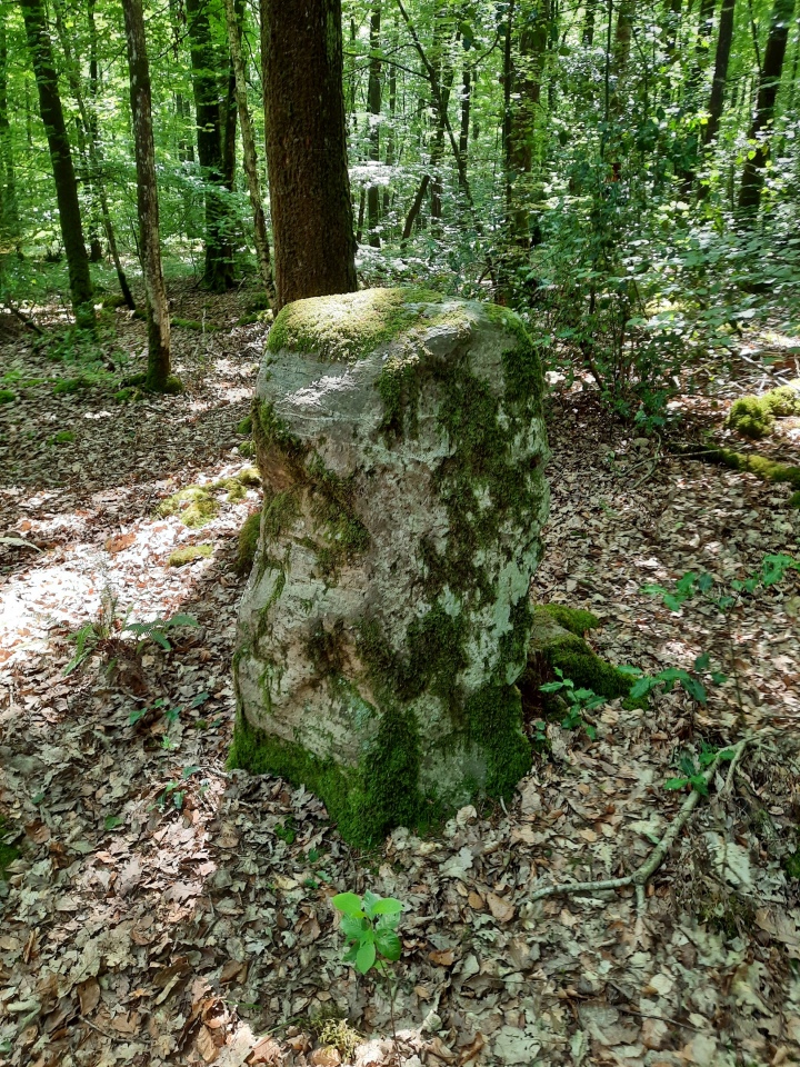 Click for full size image of Menhir de la Forêt de Haute-Sève 1 (PID:246047) Menhir de la Forêt de Haute-Sève 1