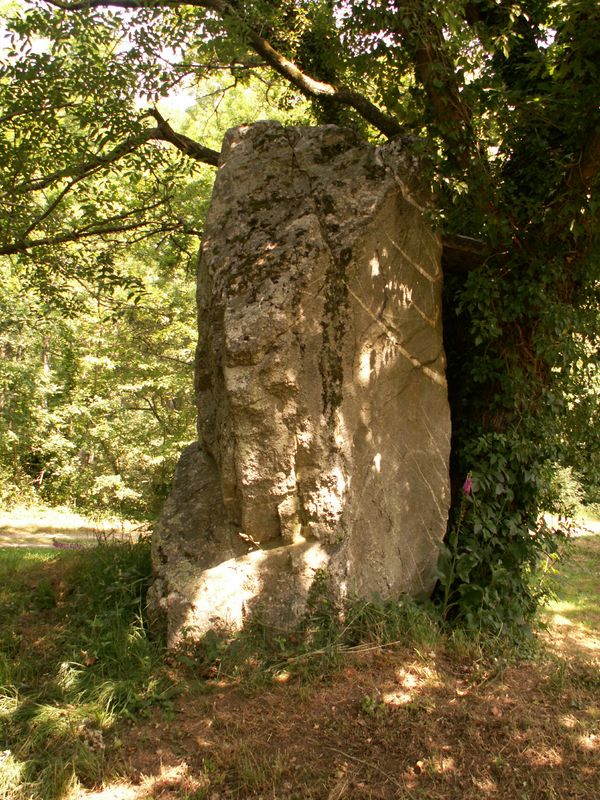 Site in  Bretagne, Ille-et-Vilaine D35
 Menhirs des Grées
