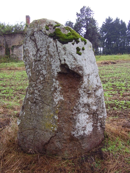 Menhir de la Pierre Fichée (La Pinelais)