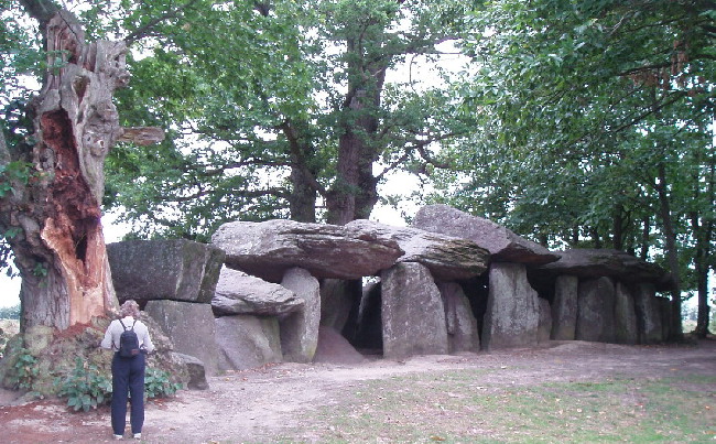 Roche-aux-Fées (Essé)