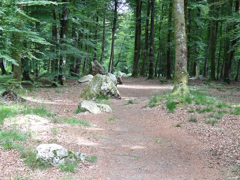 Click for full size image of Cordon des Druides (PID:178606) Cordon des Druides