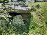 Allée Couverte de Roche-Plate