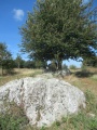 Click for full size image of Alignement dit les Rochers (Lampouy) (PID:186170) Alignement dit les Rochers (Lampouy)