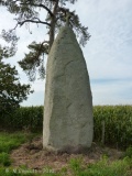 Pierre Longue de Saint-Jouan - PID:67754
