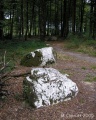 Click for full size image of Cordon des Druides (PID:31164) Cordon des Druides