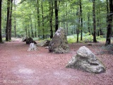 Click for full size image of Cordon des Druides (PID:31163) Cordon des Druides