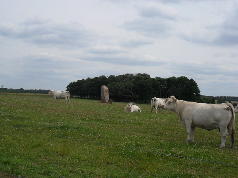Click for full size image of Menhir des Landes de Gremel (PID:178867) Menhir des Landes de Gremel