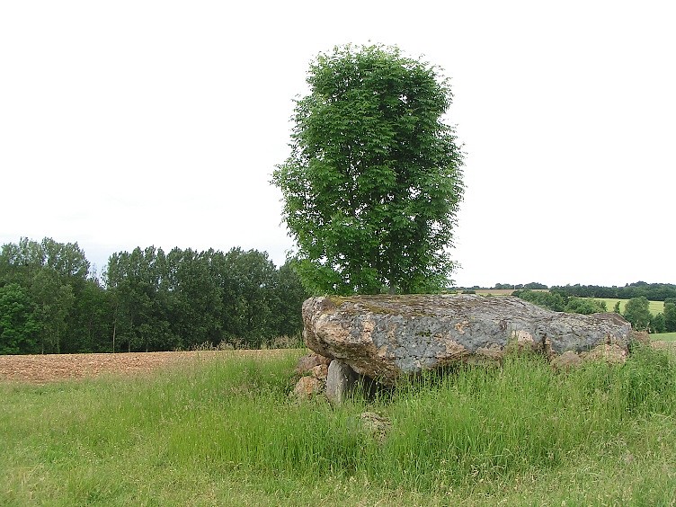 Dolmen de la Pierre Levée (Hys)