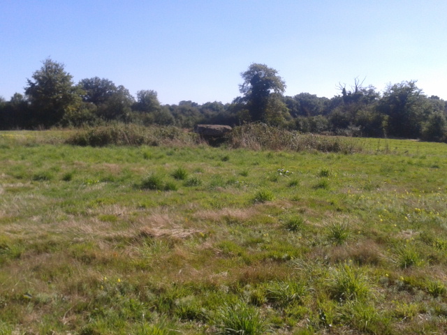 Dolmen des Gorces