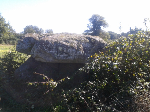 Dolmen des Gorces (PID:258051) Dolmen des Gorces
